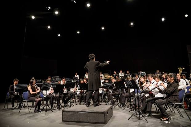 13508929_1167803419930388_7816137684932375697_n